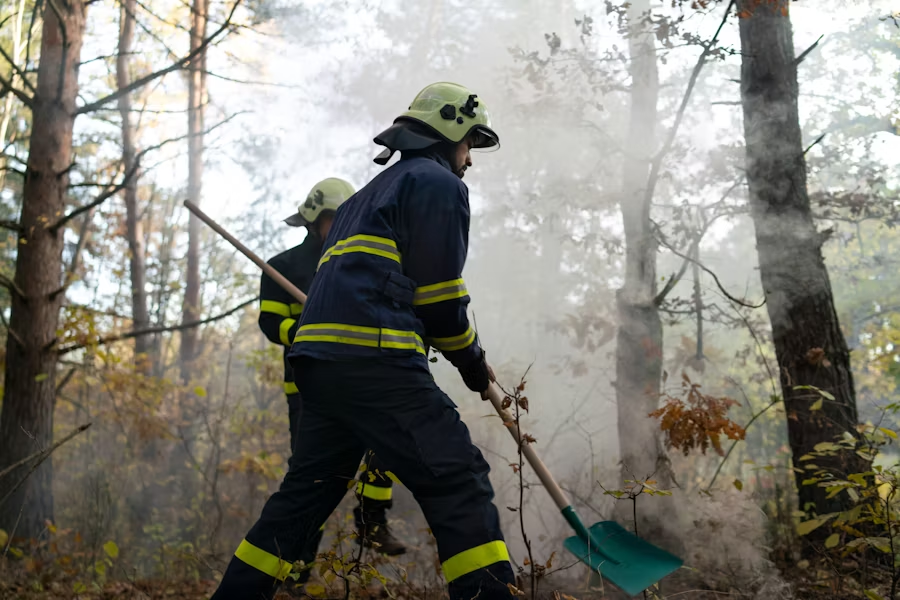 Reactive wildfire management